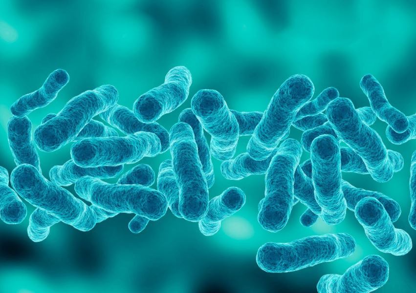¿Qué es la Legionella? | 5 alarmantes síntomas